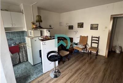 Garsoniera Toamnei, Brasov - 10