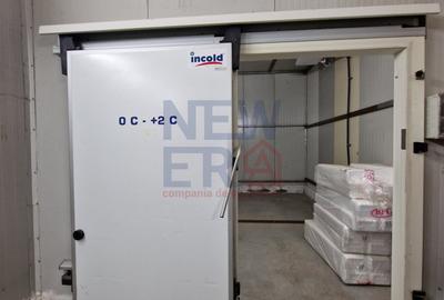 DE VANZARE Platforma cu  2 hale de 2074 mp amplasate pe un teren de 8762 mp - 11
