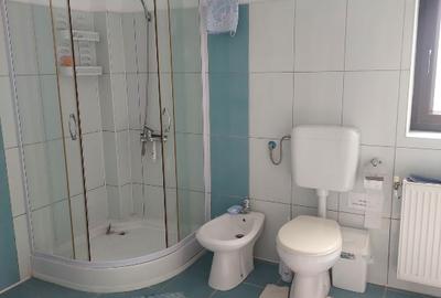 VILA 21 SNAGOV, 30 m DESCHIDERE LA LAC - 11