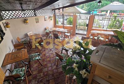 OPORTUNITATE | VILĂ 14 CAMERE | ZONA ICOANEI | LUX ȘI SPAȚIU - 5