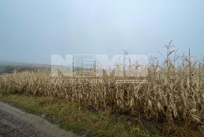 TEREN EXTRAVILAN | DOUA PARCELE 2.84 HA| DARMANESTI - 10