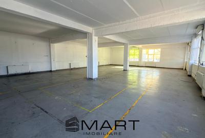 Spatiu industrial 8+ camere zona Central - 2