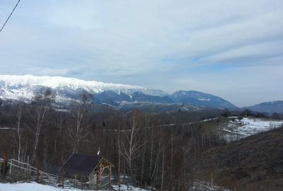 Moeciu, Drumul Carului, teren 3750 mp, 75000 euro - 9