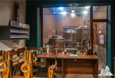 Proprietate Piata Unirii - teren  1000mp +  2 constructii - 7