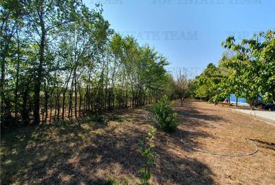 Teren intravilan agricol si teren curti constructii Lot 2 Parcela A326/49 - 14