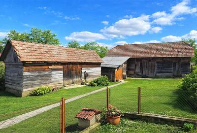 Tur 3D!4.300 mp teren, pomicultura +casa traditionala, anexe, Craiesti, Mures - 1