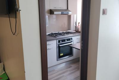 Dristor, garsoniera, 1 minut metrou, 300 euro, PET FRIENDLY, mobilata, utilata - 14