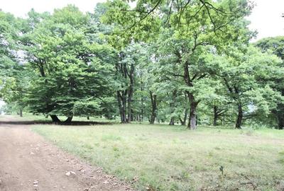 Teren de vanzare 4713 mp investitie | Poiana Brasov - 2