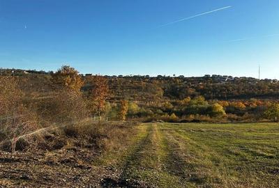 Teren intravilan de 897 mp, în Săldăbagiu de Munte