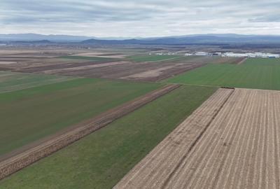 Vanzare Teren Prejmer-Zona Parc Industrial - 4