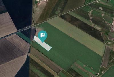 Teren extravilan de 22500 mp în Variașul Mare - 1