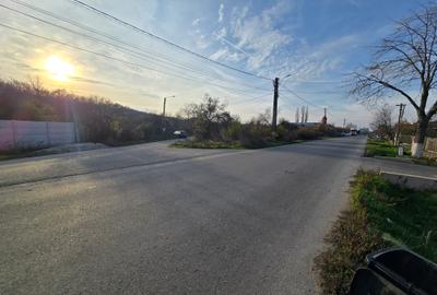 Vanzare Teren Bulbucata Girgiu - 6