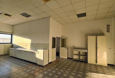 Spatiu show room, 1500 mp , parcare , Calea Lugojului - 7