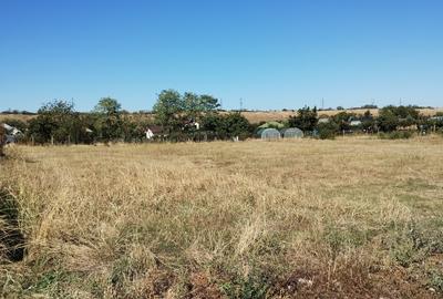 Teren intr. în centrul satului Brebeni, lângă Slatina. Împărțit în 4 parcele. - 8