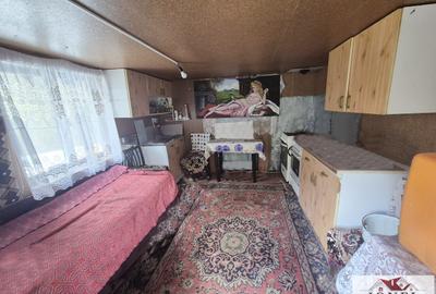 Casa de vanzare in Bistra -1700 mp teren - 5