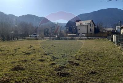 Teren intravilan 1,486mp Zarnesti / Soseaua Branului - 5