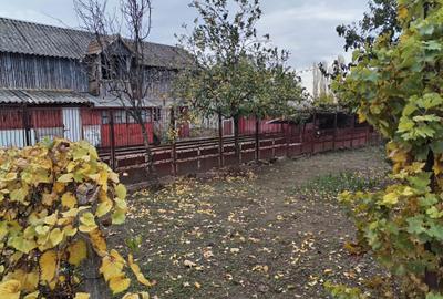 Casa cu teren -  central Segarcea - 15