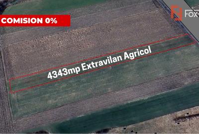 COMISION 0% Teren extravilan agricol, Utvin - 4343 mp - 1