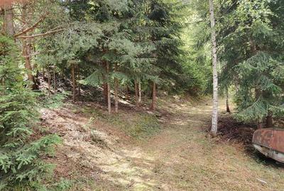 Casa de vacanta nefinalizata (Gheorgheni, zona Magasbukk, km 5) - 21