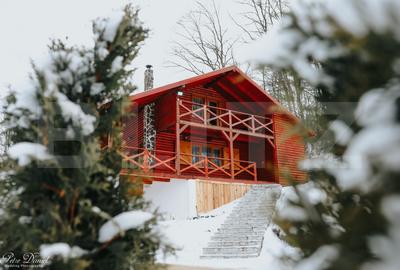 Cabana la Valeni - COMISION 0 pentru o afacere la cheie - 1