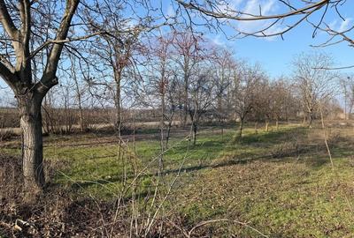 Teren 2,300mp Petresti / Strada Lacramioarei - 5