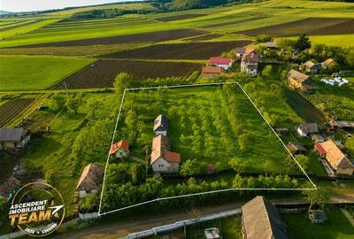 FILM! Oaza ta de liniste pe 0.5ha teren intravilan, Dalnic, Covasna - 19