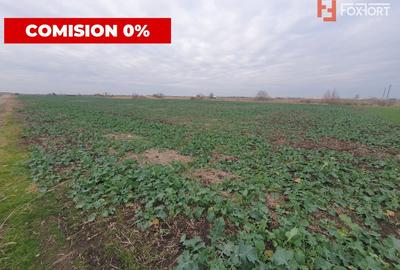 Comision 0% Teren extravilan agricol 21,32 ha sau intravilan cu PUZ aprobat - 11