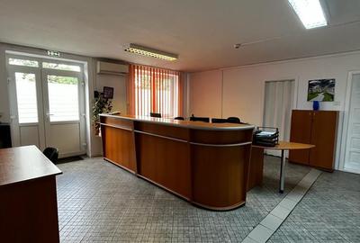 Spatiu industrial productie/ depozitare, Timiș - 38