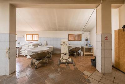 Spatiu comercial+afacere functionala: brutarie,rute de distributie,Ghelinta - 11