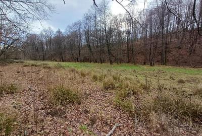 Resita, Teren Drept Intravilan, Langa Prau si Drum, Parcelabil, 4500 Mp., 15 Eur - 13