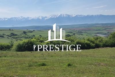 TEREN  EXTRAVILAN 2000 MP ÎN DAIA - BAVARIA | DEALUL 2 | DOAR 15€/MP - 14