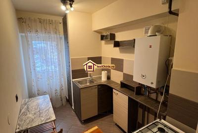 Apartament 1 camera Pacurari - 4