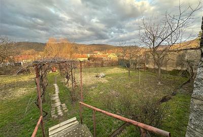 Bocsa Montana, Casa Solida + Gradina, Strada Principala - 20