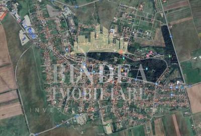 Teren intravilan CENTRAL Buzias, 2583mp - 8