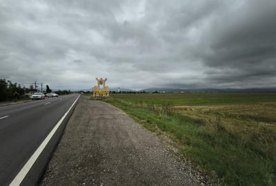 Teren intrare Prejmer - 3