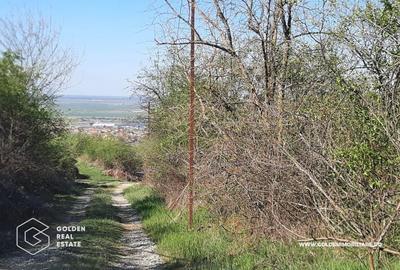 Teren intravilan Valea Domneasca,  localitatea Ghioroc - 4
