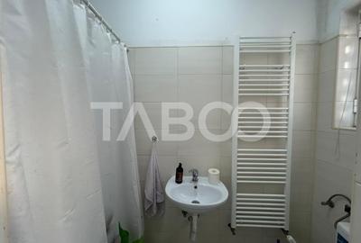 Casa individuala utilata si mobilata cu piscina incalzita in Turnisor - 16