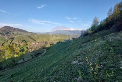 Teren 2,227mp Pestera / acces din Strada Principala - 1