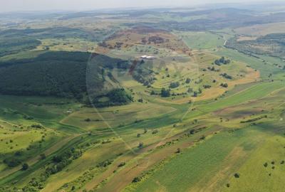 300 ha teren agricol comasat 80% in zona Zlagna judet Sibiu - 1
