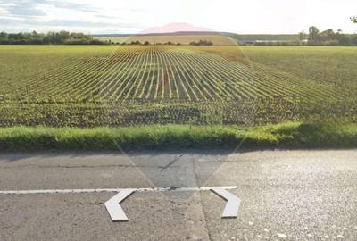 Teren 13.773mp de vanzare, Bogdan Voda / E85 - 1