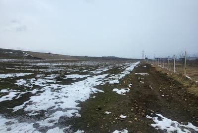 Vand teren constructii hale cu acces la autostrada - 3