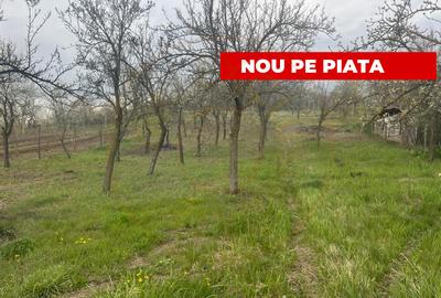 Teren intravilan 2.200 mp cu constructie existenta –Calinesti- Vranesti-Arges! - 1