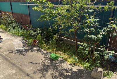 Casa 5 camere, caramida, garaj, pivnita — Cantacuzino, Ploiesti - 15