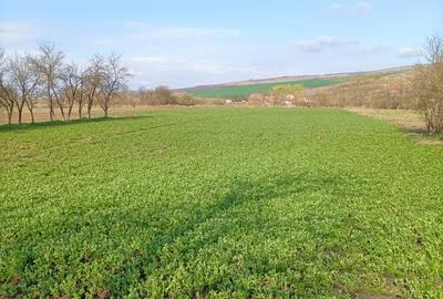 Vanzare teren intravilan parcelabil, in localitatea Rascruci - 2