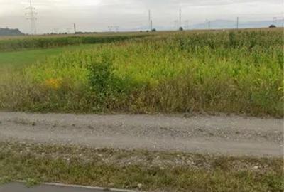 Teren Intravilan Calea Bucuresti 8.752 mp - 1