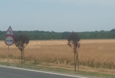 Teren Vanzare Intravilan Branesti - Investitie Zona Industriala Vis a Vis Makita - 24