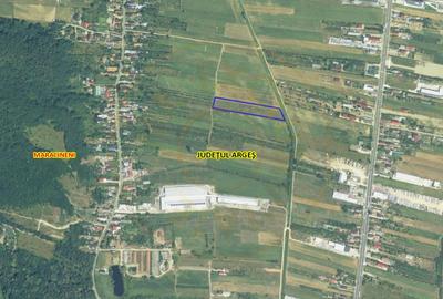 Teren intravilan 7.545 mp în ideal rezidențial sau hale - 4