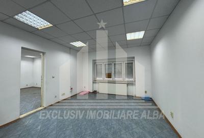 Casa individuala | Spatiu comercial | 306 mp | 415 mp teren | Maieri - 11