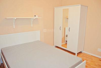 Copou, 2 camere mobilat si utilat, la vila - 6
