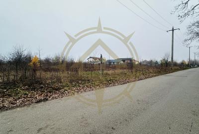 DOM00424 - Teren de vanzare in Corbeanca - 4
